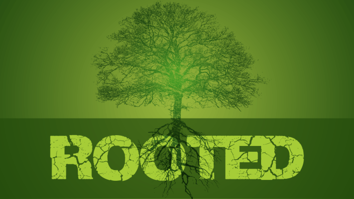 Rooted